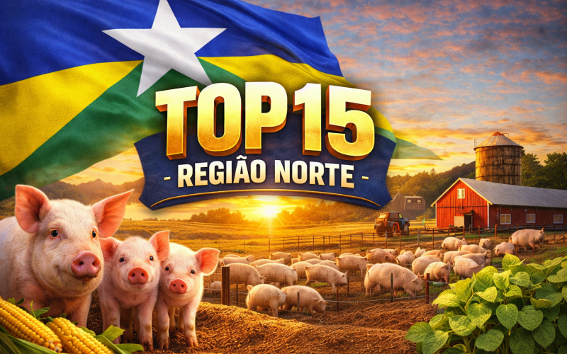 Porto Velho Brilha no Agro: Capital Rondoniense Entra no Top 15 de Suinocultura da Região Norte